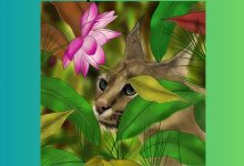 Visual IQ Challenge with the Hidden Bird