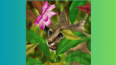 Visual IQ Challenge with the Hidden Bird
