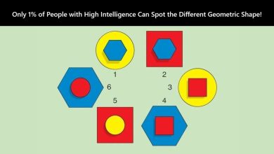 Visual IQ Test with Geometric Shapes