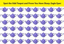 Odd Teapot Identification Challenge