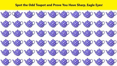 Odd Teapot Identification Challenge