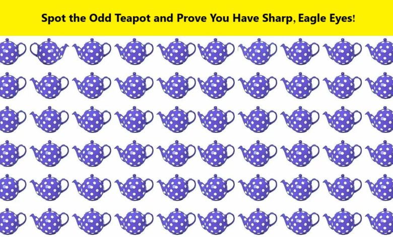 Odd Teapot Identification Challenge