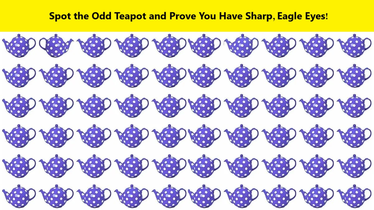 Odd Teapot Identification Challenge