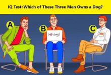 Who Owns the Dog