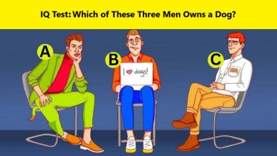 Who Owns the Dog