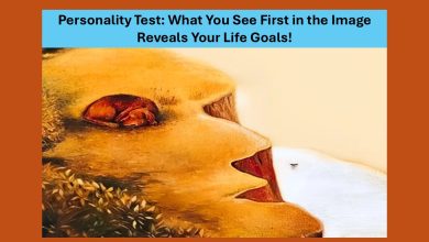 the Life Goals Personality Test