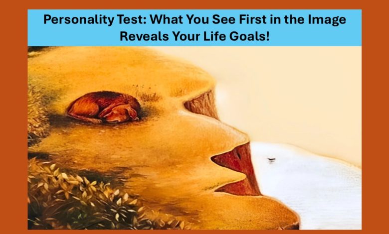 the Life Goals Personality Test
