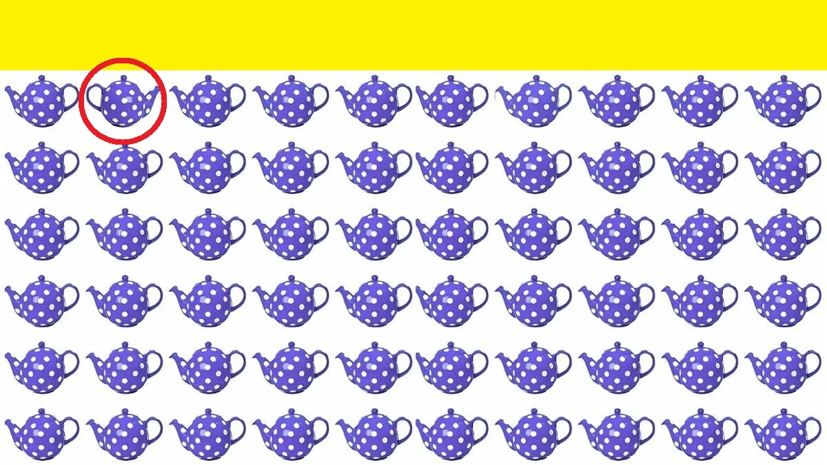 Odd Teapot Identification Challenge