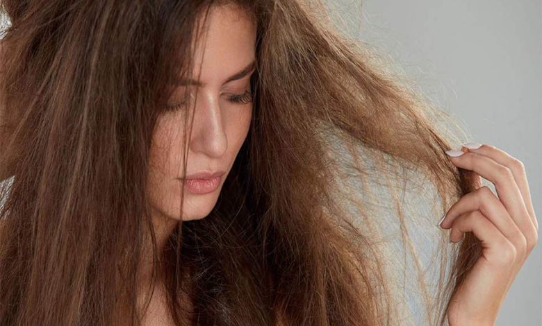 Home Remedies For Dry and Frizzy Hair