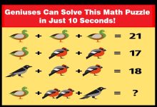 Bird Math Challenge