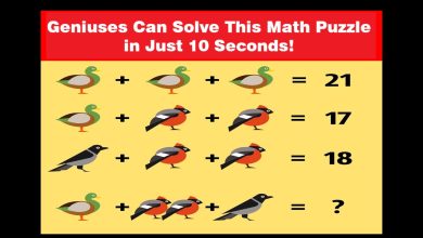 Bird Math Challenge