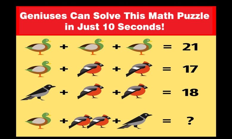 Bird Math Challenge