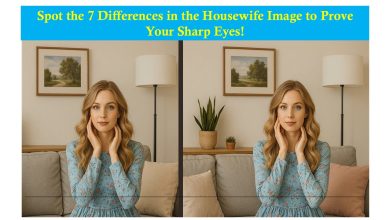 Focus Test with the Housewife Challenge