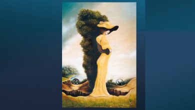 Hidden Face Challenge