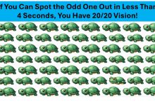 Odd One Out Challenge