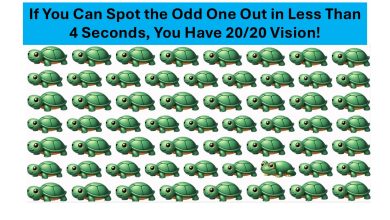 Odd One Out Challenge