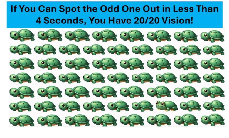 Odd One Out Challenge