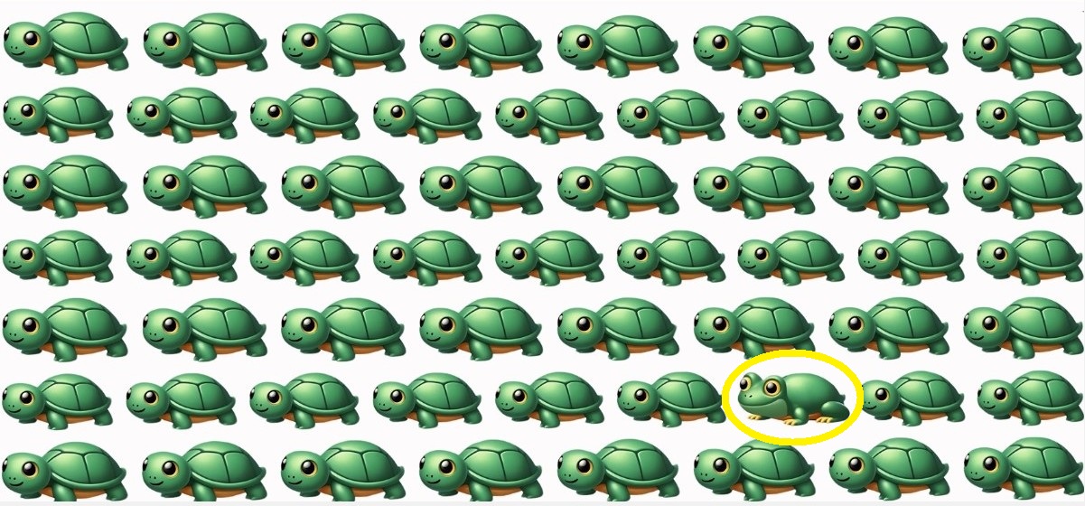 Odd One Out Challenge