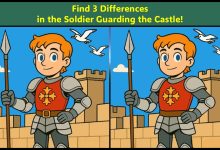 Spot the Difference Test with the Castle Guard