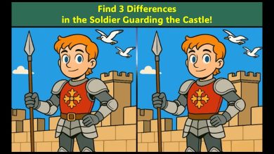 Spot the Difference Test with the Castle Guard