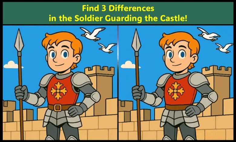 Spot the Difference Test with the Castle Guard