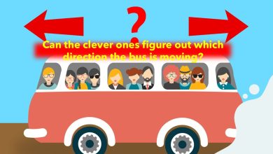 The Bus Direction Brain Teaser