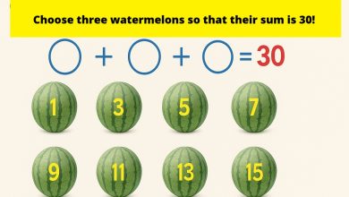 Watermelon Weight Puzzle