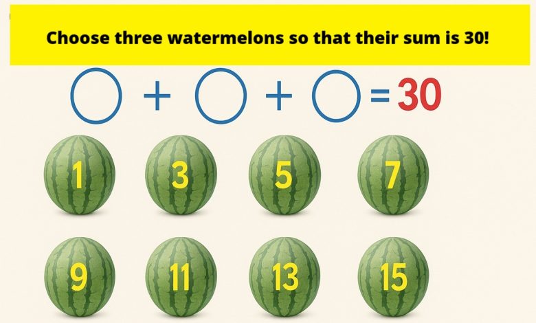 Watermelon Weight Puzzle