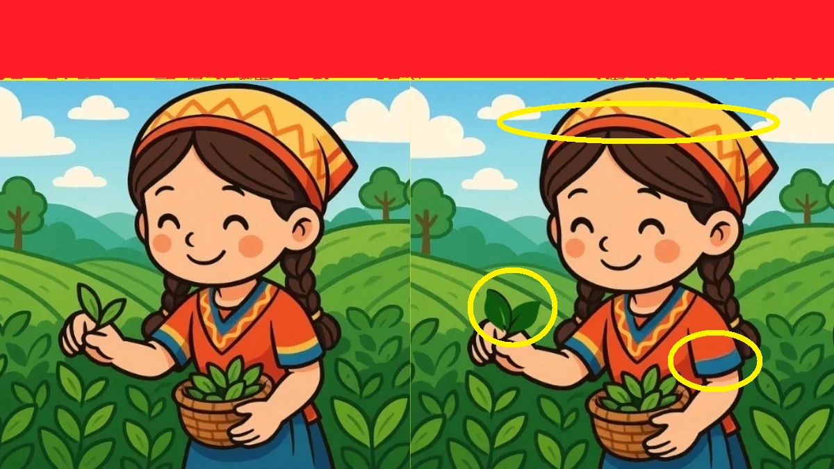 Tea-Picking Girl Spot the Difference Test