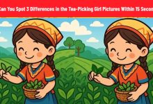 Tea-Picking Girl Spot the Difference Test