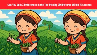 Tea-Picking Girl Spot the Difference Test