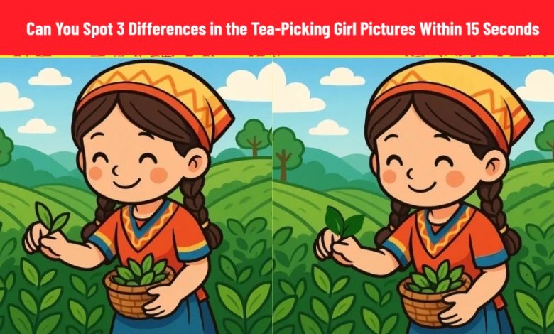 Tea-Picking Girl Spot the Difference Test