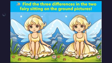 Visual Puzzle with a Fairy