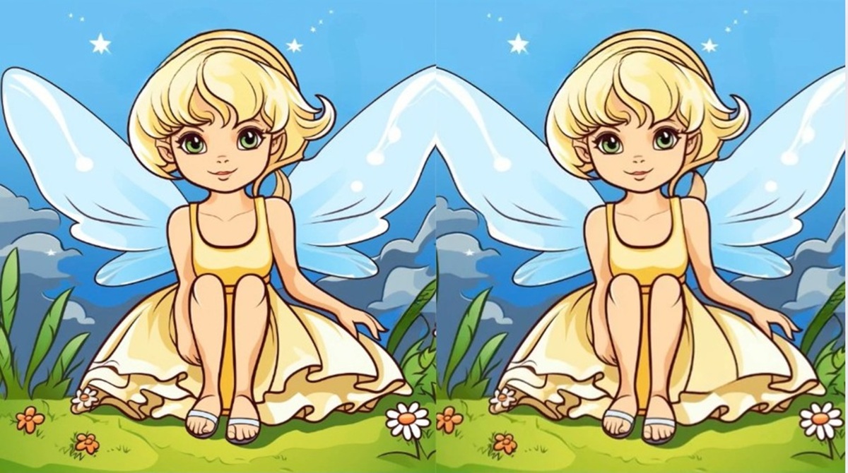 Visual Puzzle with a Fairy