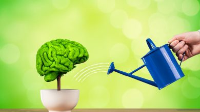Improve Your Memory