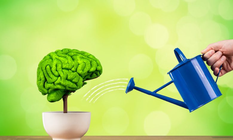 Improve Your Memory