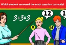 Math Puzzle with Priority in Calculation