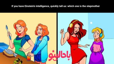 Stepmother Identification Test in the Picture
